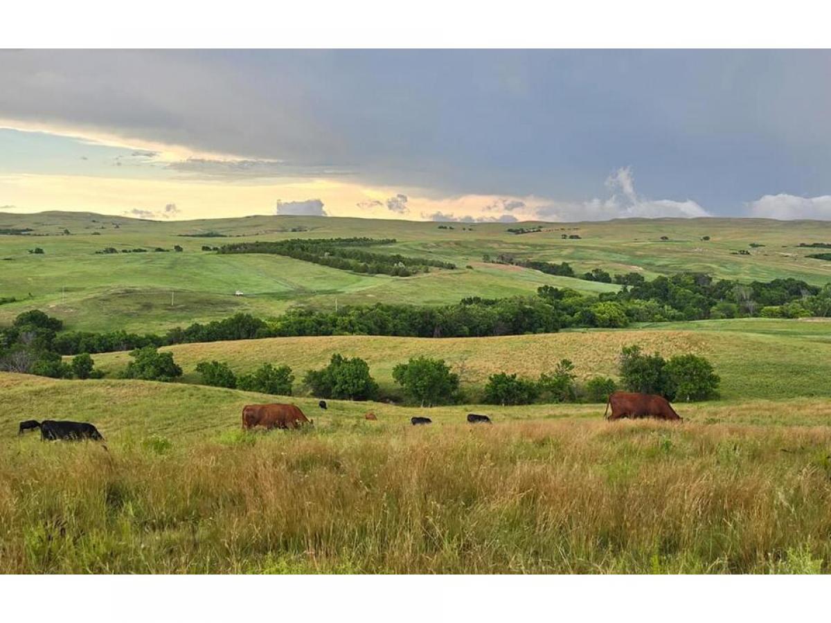 Picture of Farm For Sale in Martin, South Dakota, United States
