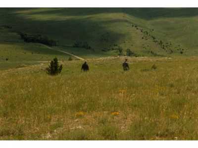 Residential Land For Sale in Manhattan, Montana