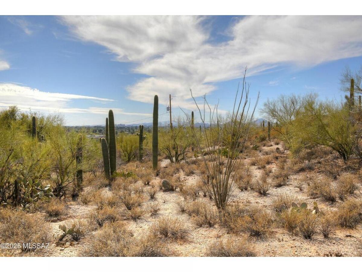 Picture of Residential Land For Sale in Tucson, Arizona, United States