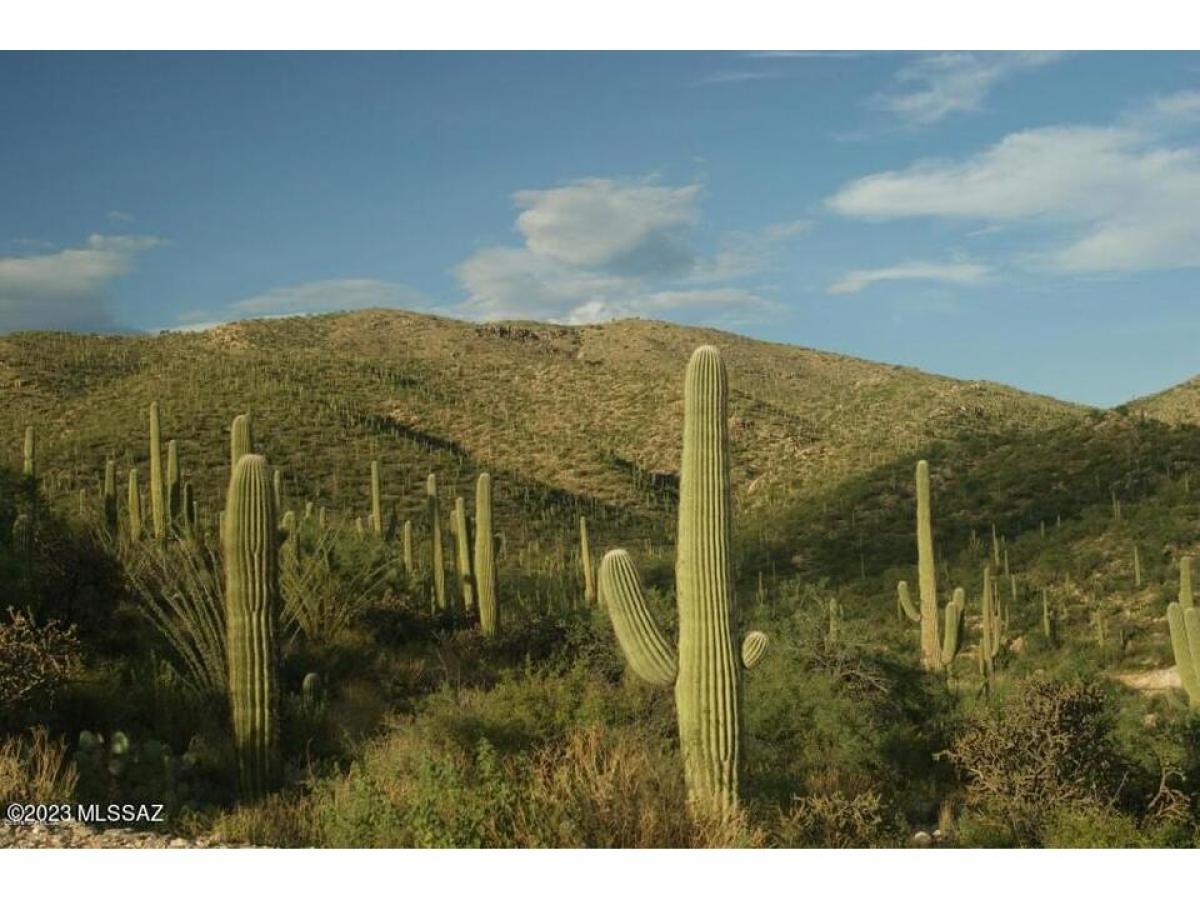 Picture of Residential Land For Sale in Tucson, Arizona, United States