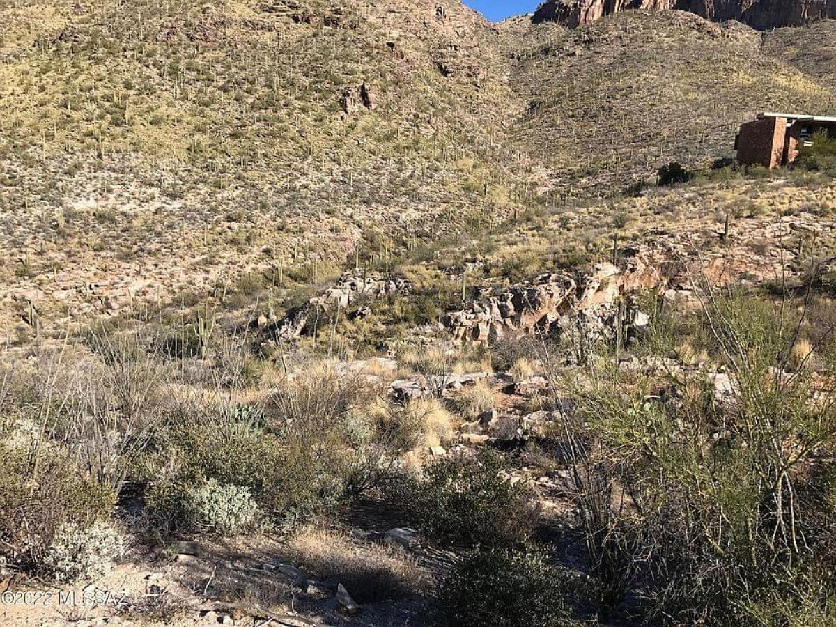 Picture of Residential Land For Sale in Tucson, Arizona, United States