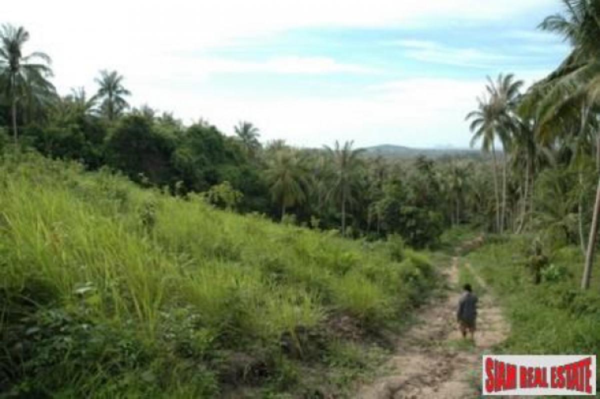 Picture of Residential Land For Sale in Surat Thani, Surat Thani, Thailand