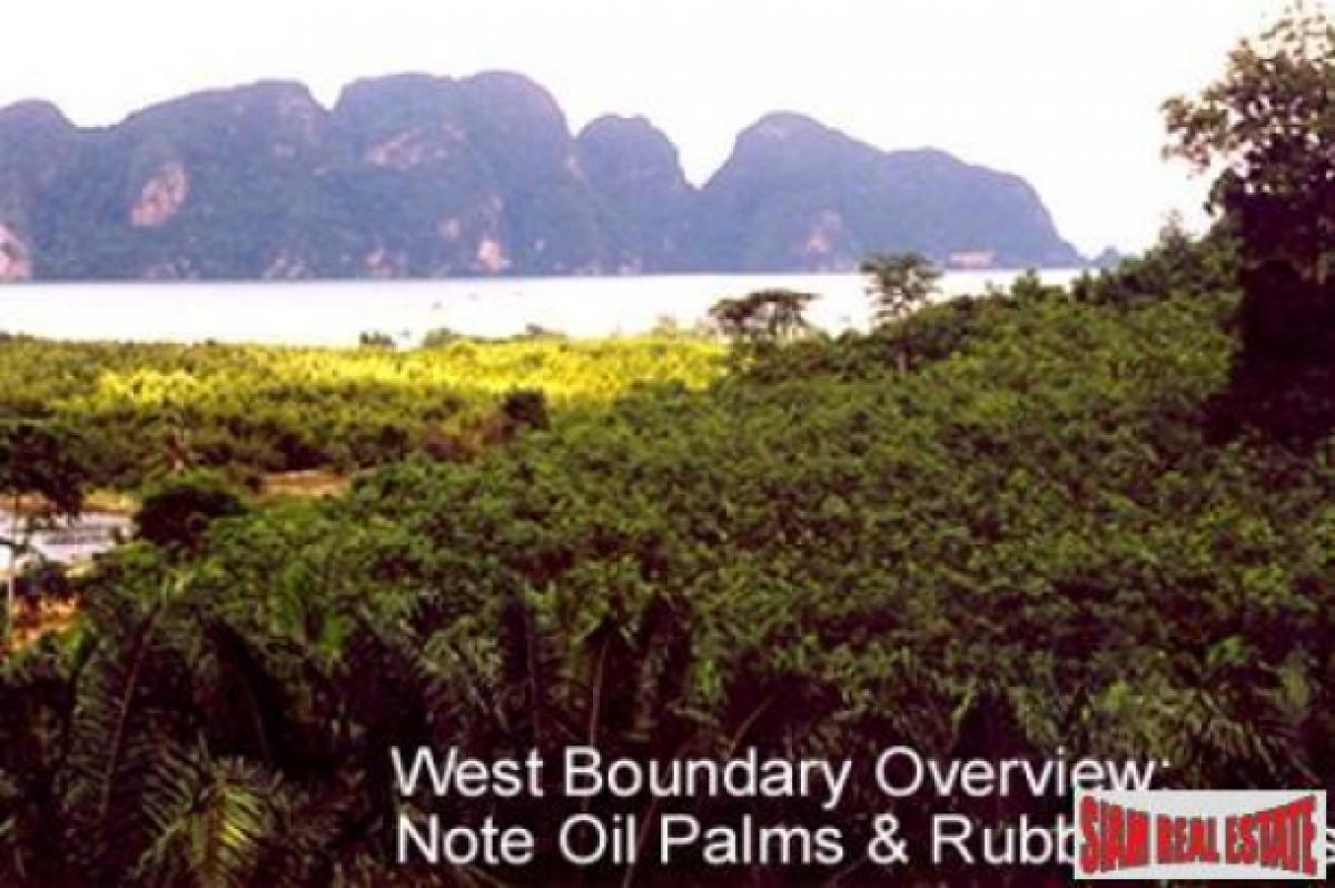 Picture of Residential Land For Sale in Mueang Phang Nga, Phang Nga, Thailand