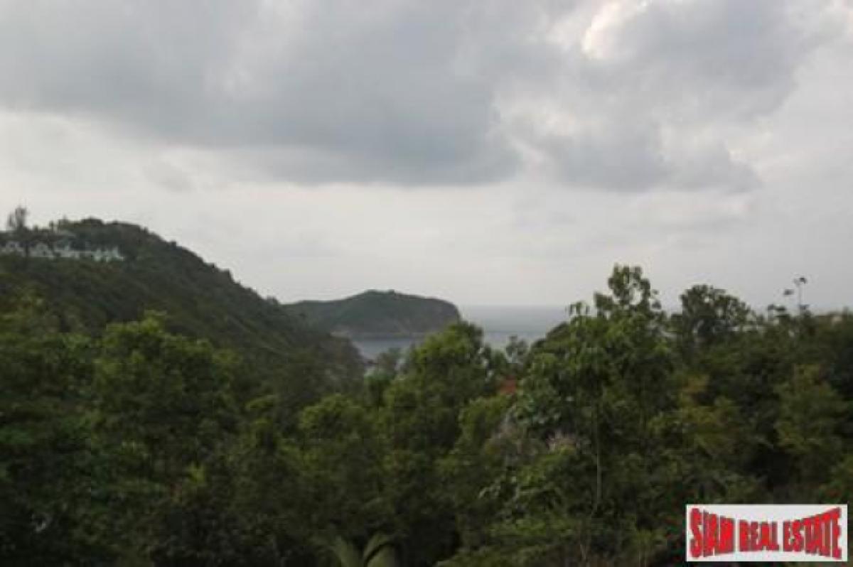 Picture of Residential Land For Sale in Surat Thani, Surat Thani, Thailand