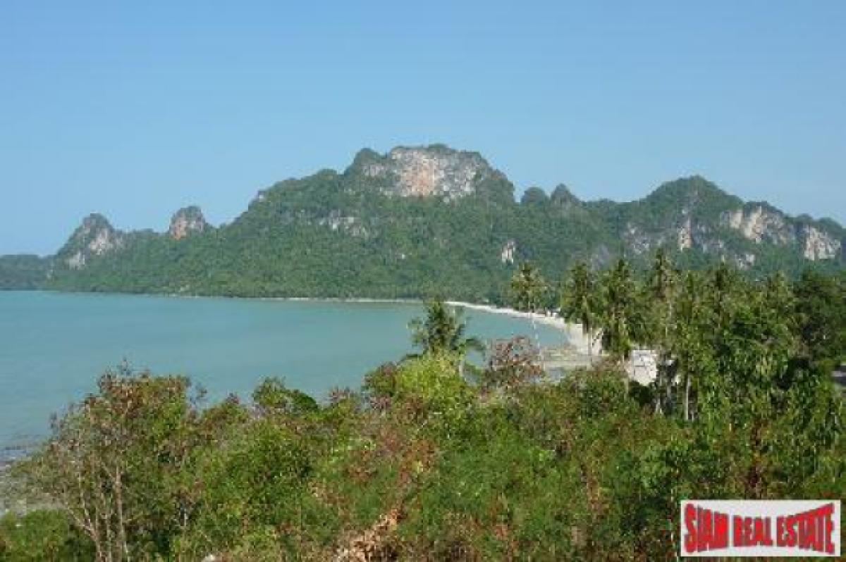 Picture of Residential Land For Sale in Surat Thani, Surat Thani, Thailand