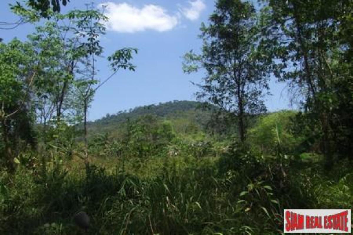 Picture of Residential Land For Sale in Krabi, Krabi, Thailand