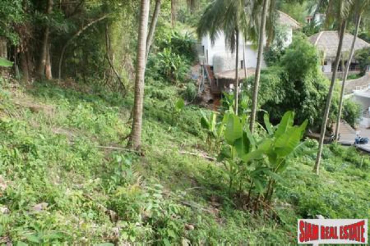 Picture of Residential Land For Sale in Phuket, Phuket, Thailand