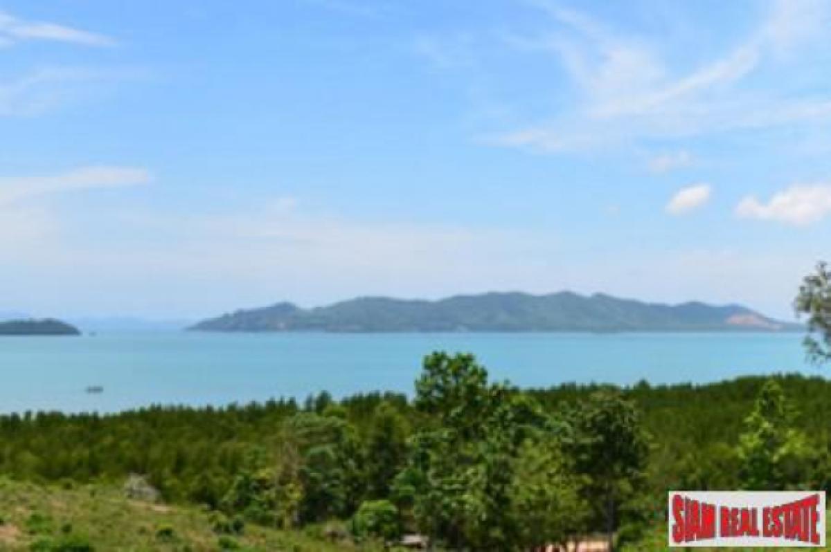 Picture of Residential Land For Sale in Mueang Phang Nga, Phang Nga, Thailand