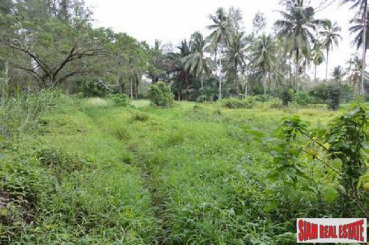 Picture of Residential Land For Sale in Mueang Phang Nga, Phang Nga, Thailand