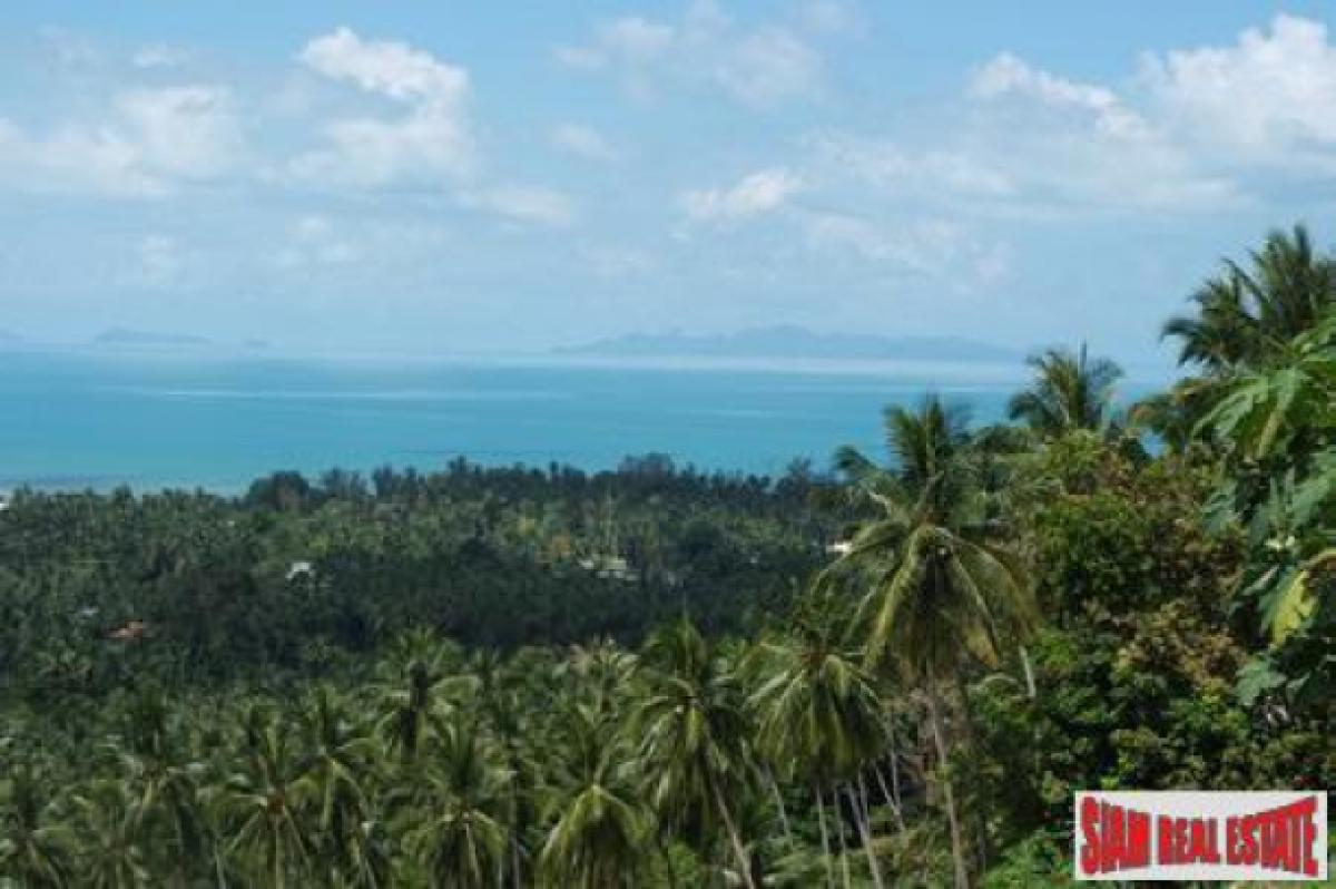 Picture of Residential Land For Sale in Surat Thani, Surat Thani, Thailand