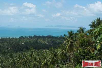 Residential Land For Sale in Surat Thani, Thailand
