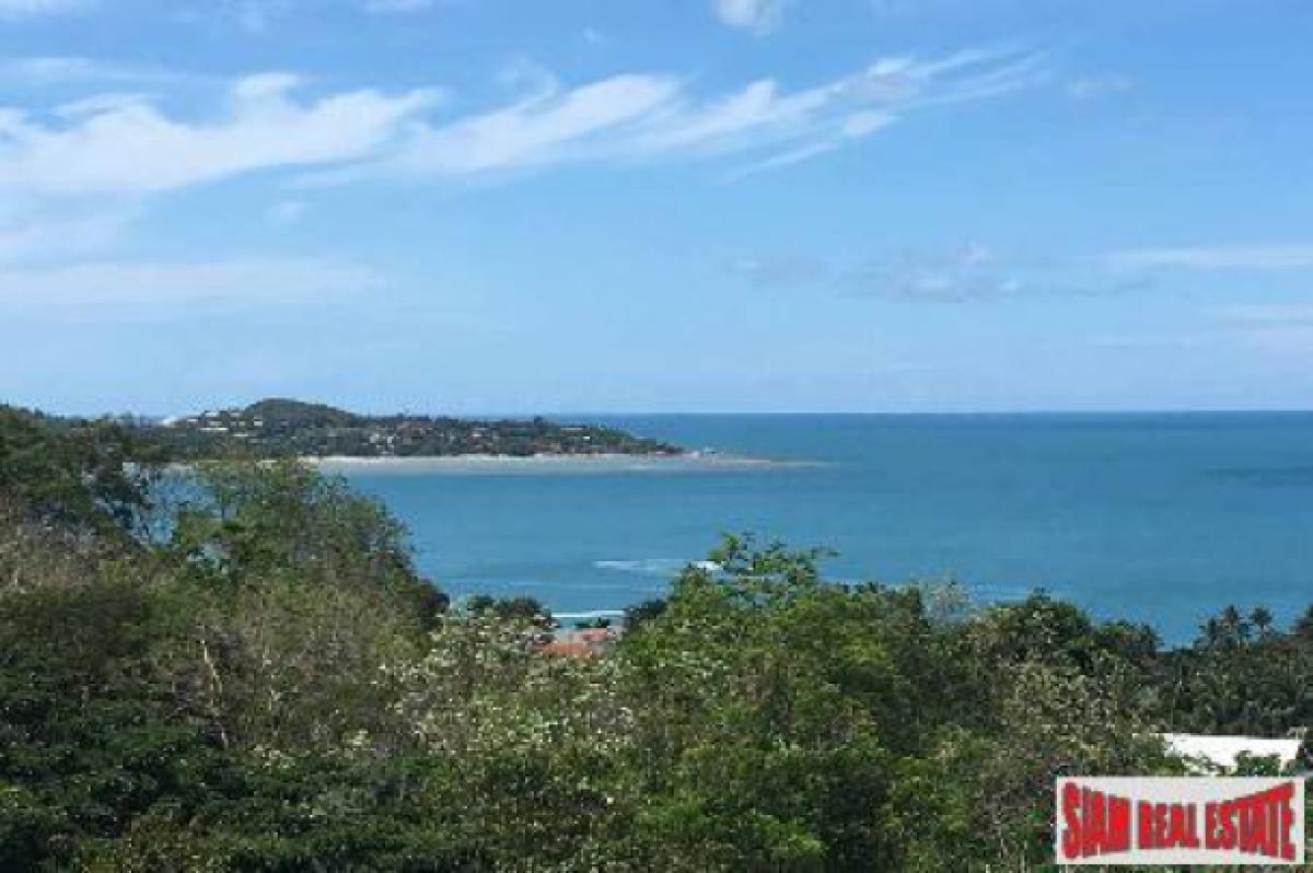 Picture of Residential Land For Sale in Surat Thani, Surat Thani, Thailand