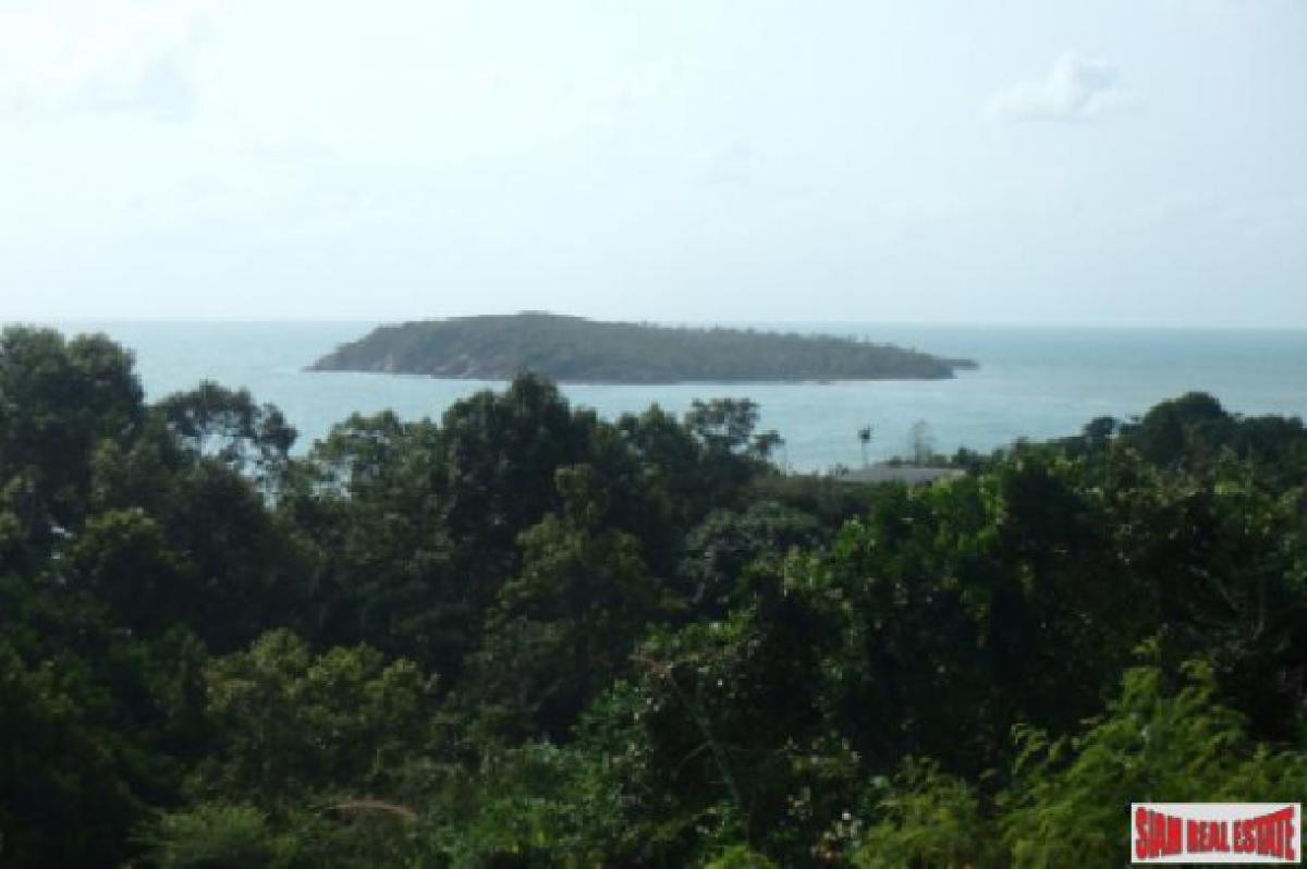 Picture of Residential Land For Sale in Surat Thani, Surat Thani, Thailand