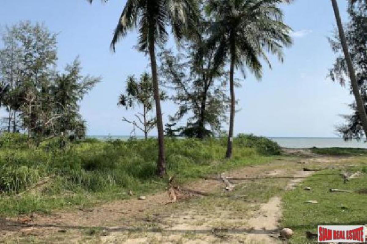 Picture of Residential Land For Sale in Surat Thani, Surat Thani, Thailand