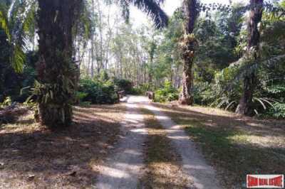 Residential Land For Sale in Mueang Phang Nga, Thailand