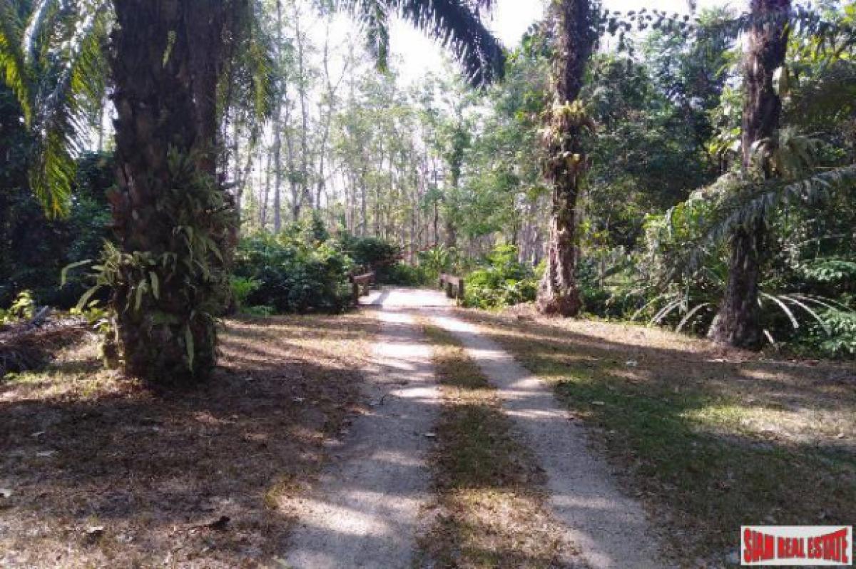 Picture of Residential Land For Sale in Mueang Phang Nga, Phang Nga, Thailand
