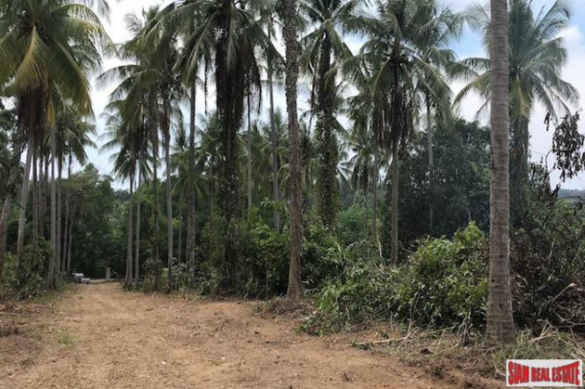 Picture of Residential Land For Sale in Mueang Phang Nga, Phang Nga, Thailand