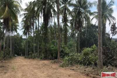 Residential Land For Sale in Mueang Phang Nga, Thailand