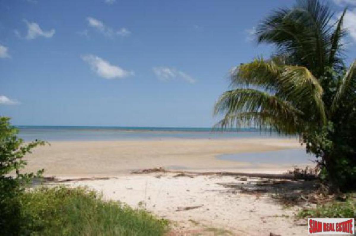 Picture of Residential Land For Sale in Surat Thani, Surat Thani, Thailand