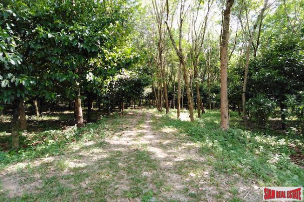 Picture of Residential Land For Sale in Mueang Phang Nga, Phang Nga, Thailand