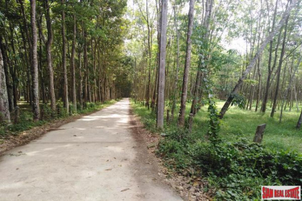 Picture of Residential Land For Sale in Mueang Phang Nga, Phang Nga, Thailand