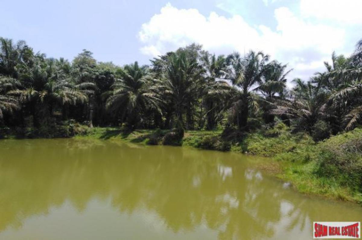 Picture of Residential Land For Sale in Mueang Phang Nga, Phang Nga, Thailand