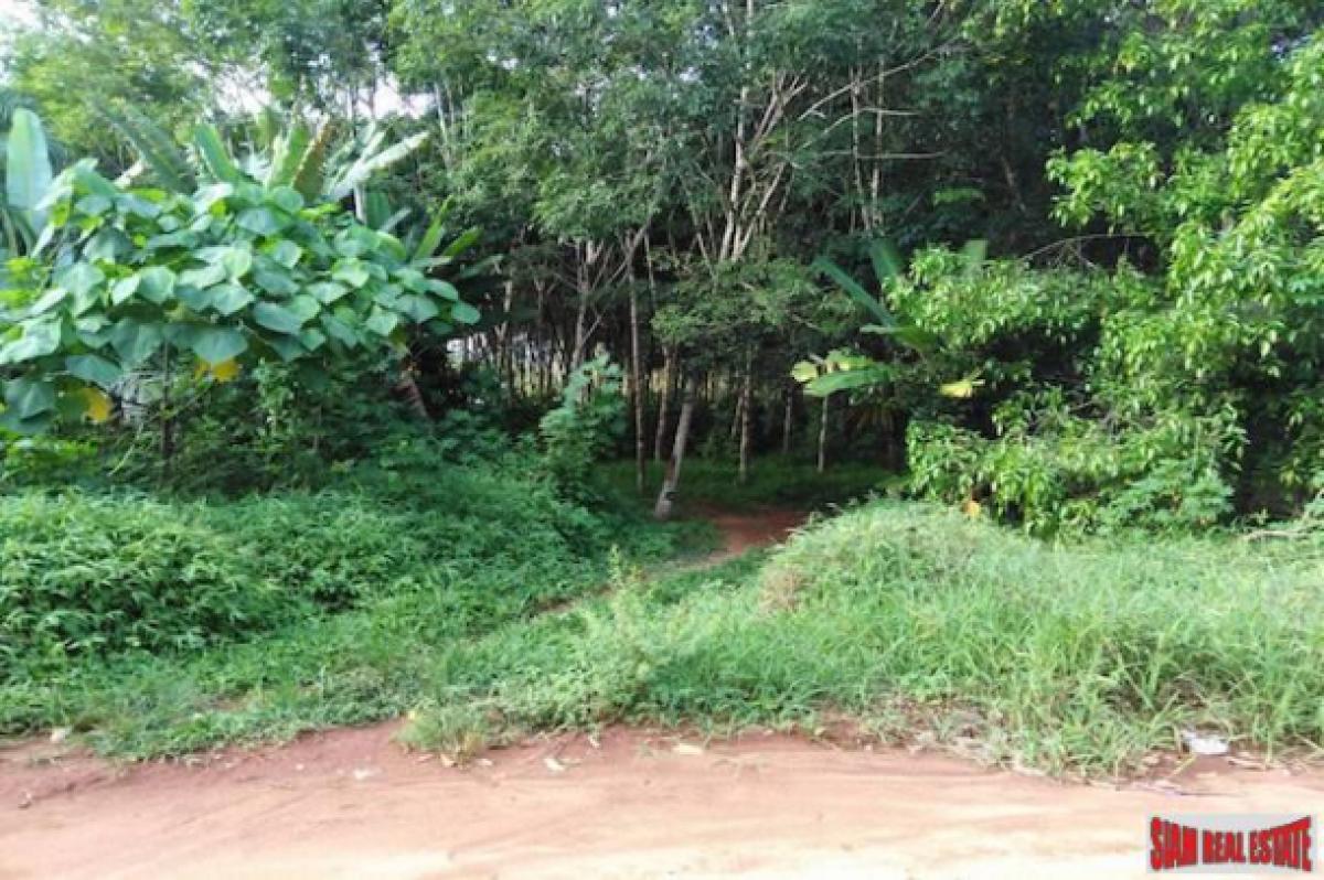 Picture of Residential Land For Sale in Mueang Phang Nga, Phang Nga, Thailand