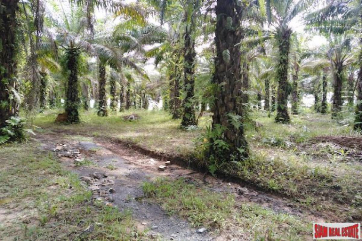 Picture of Residential Land For Sale in Mueang Phang Nga, Phang Nga, Thailand
