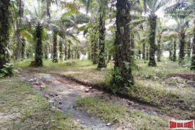 Residential Land For Sale in Mueang Phang Nga, Thailand
