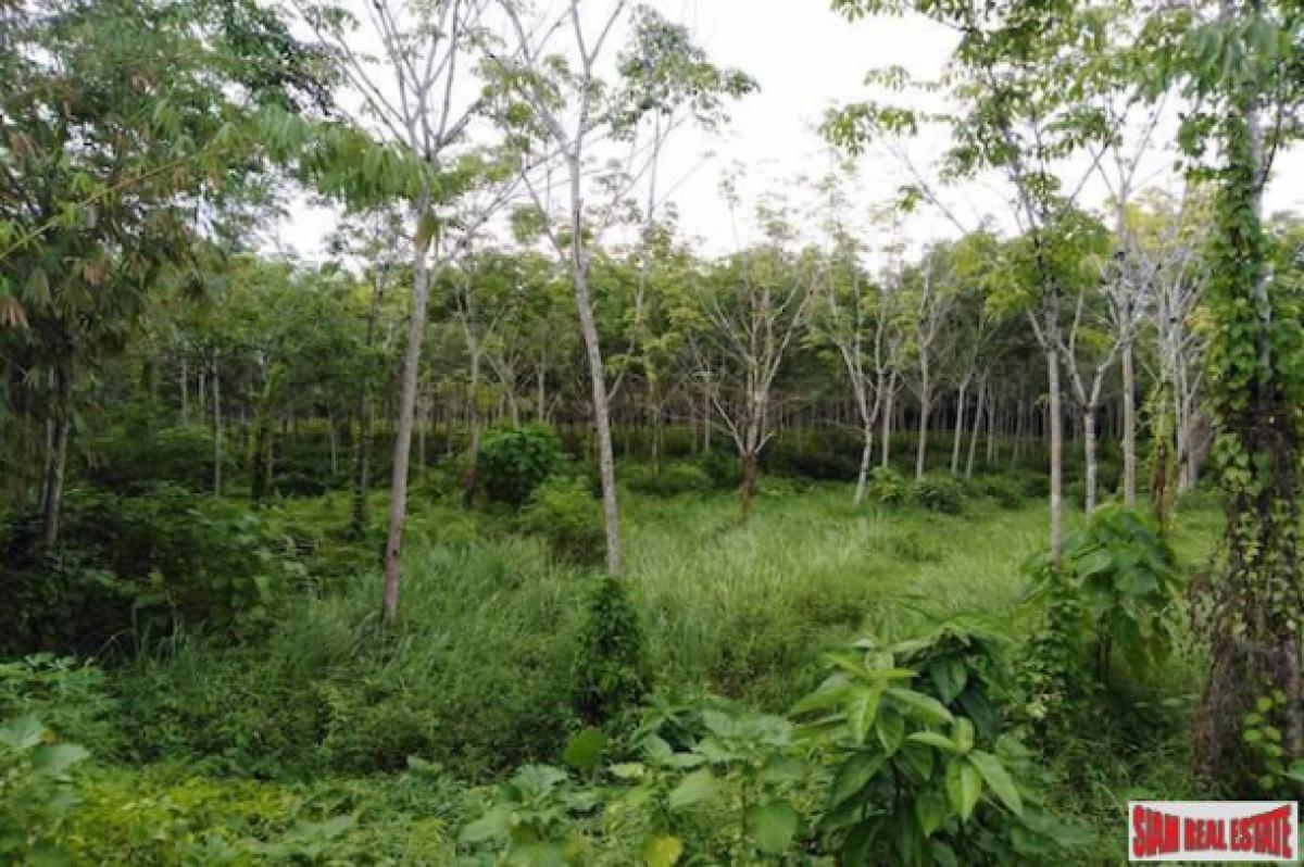 Picture of Residential Land For Sale in Mueang Phang Nga, Phang Nga, Thailand