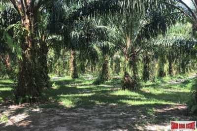 Residential Land For Sale in Mueang Phang Nga, Thailand