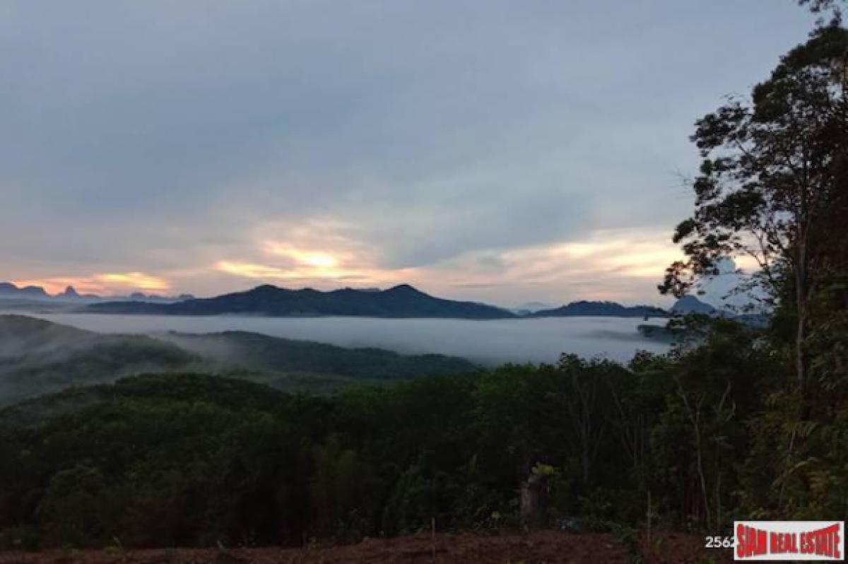 Picture of Residential Land For Sale in Mueang Phang Nga, Phang Nga, Thailand