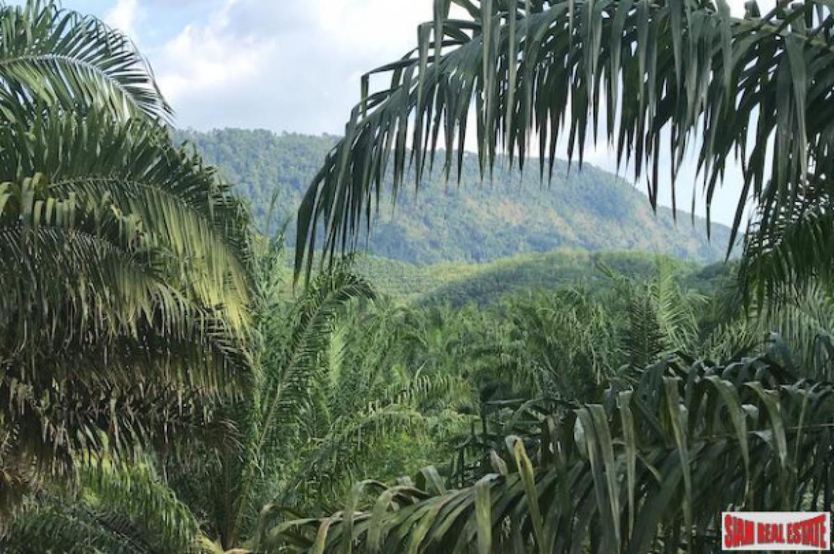Picture of Residential Land For Sale in Mueang Phang Nga, Phang Nga, Thailand