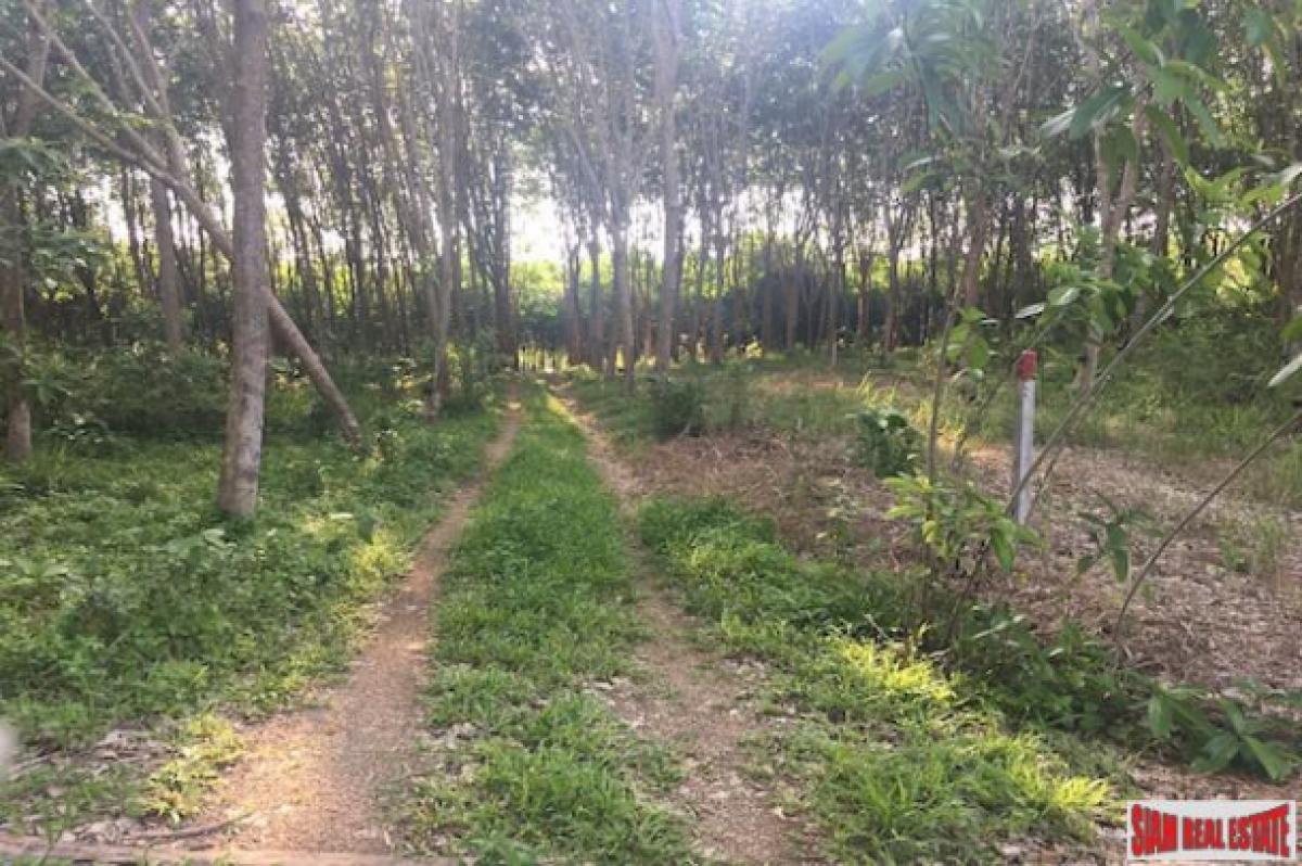 Picture of Residential Land For Sale in Krabi, Krabi, Thailand
