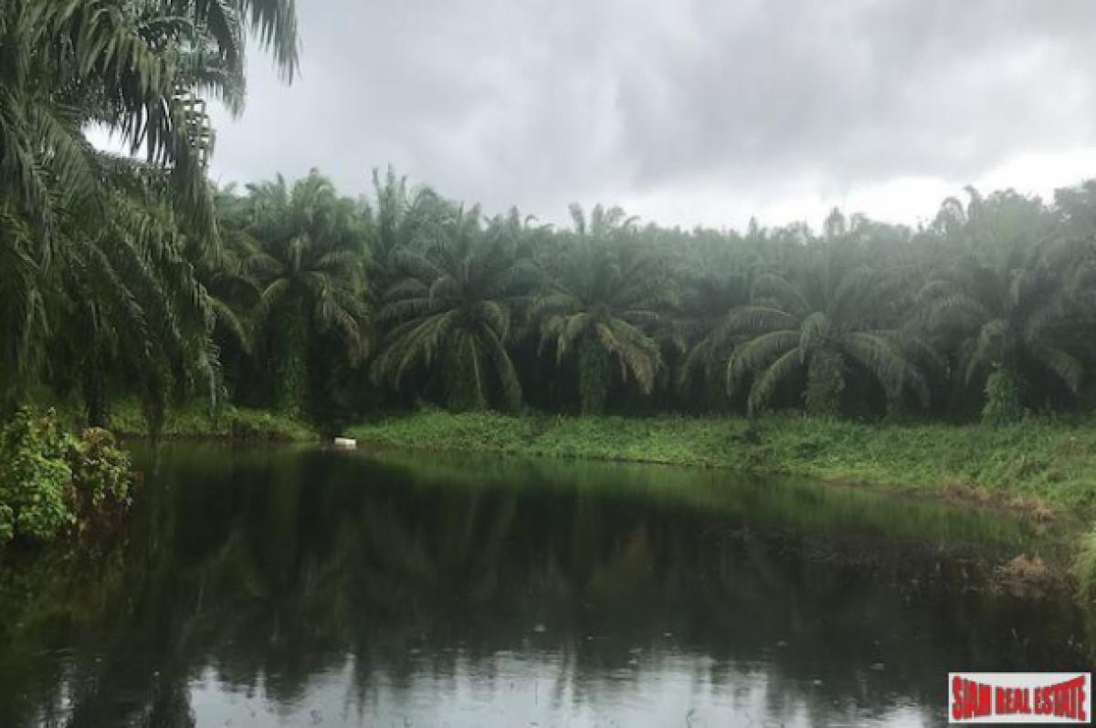 Picture of Residential Land For Sale in Mueang Phang Nga, Phang Nga, Thailand