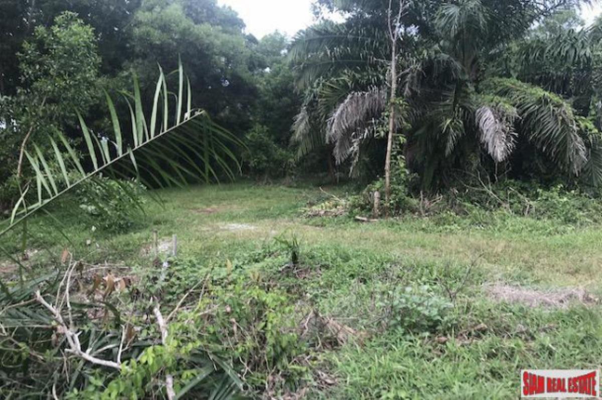 Picture of Residential Land For Sale in Mueang Phang Nga, Phang Nga, Thailand