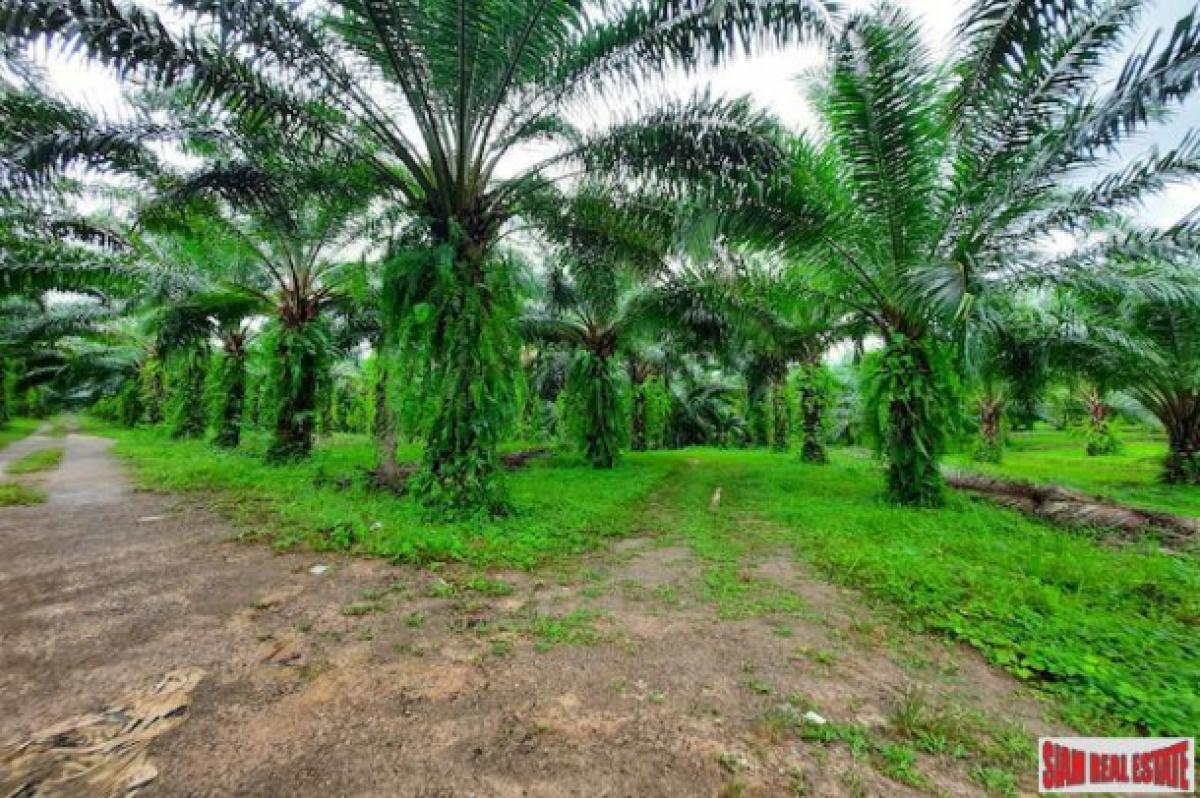 Picture of Residential Land For Sale in Krabi, Krabi, Thailand
