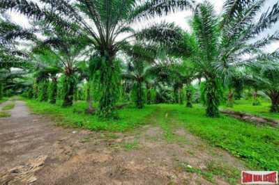Residential Land For Sale in Krabi, Thailand