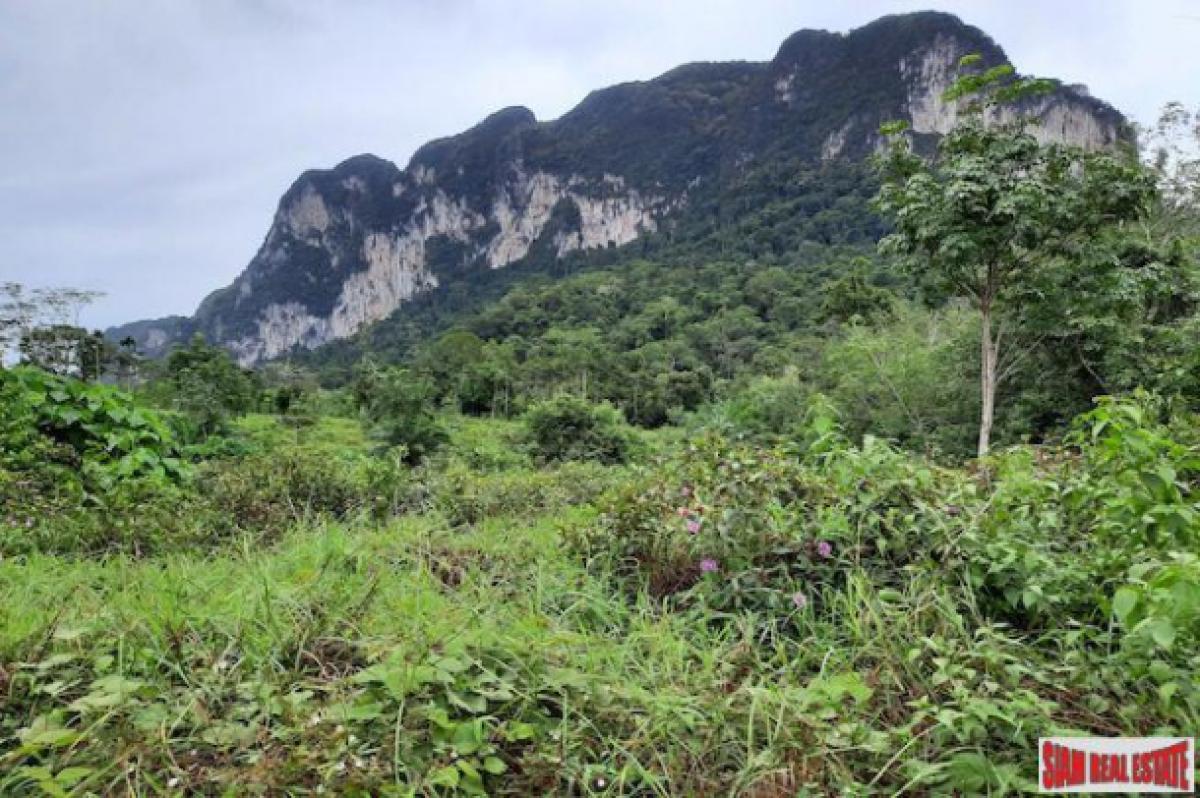 Picture of Residential Land For Sale in Krabi, Krabi, Thailand