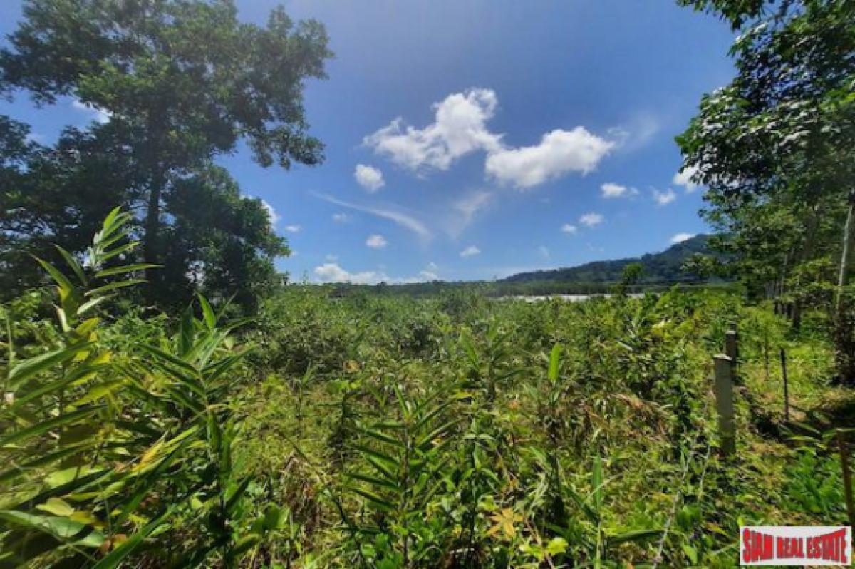 Picture of Residential Land For Sale in Phuket, Phuket, Thailand