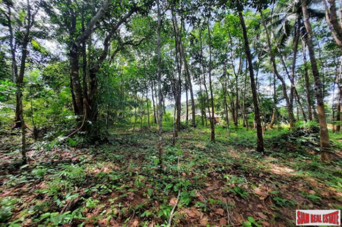 Picture of Residential Land For Sale in Krabi, Krabi, Thailand