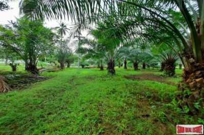 Residential Land For Sale in Krabi, Thailand