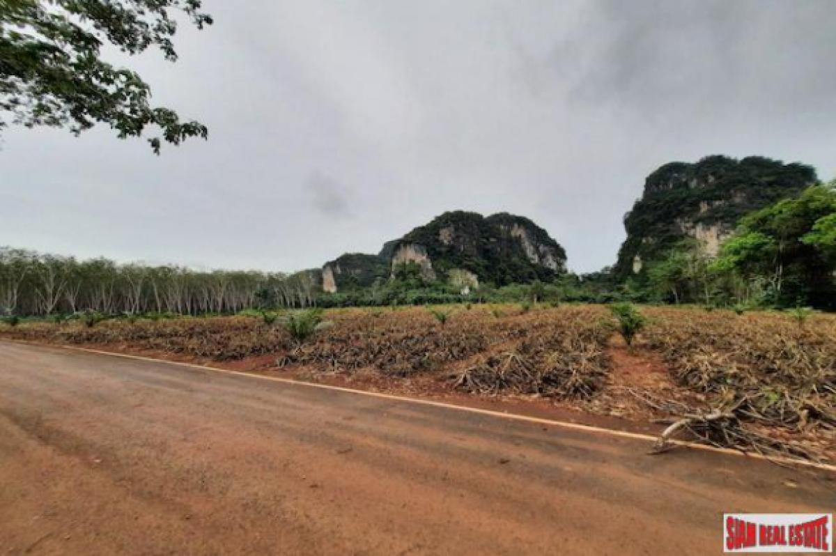 Picture of Apartment For Sale in Krabi, Krabi, Thailand