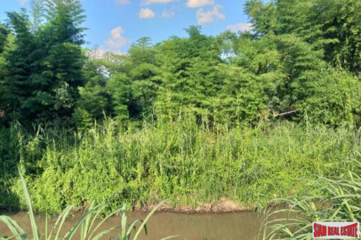 Picture of Residential Land For Sale in Chiang Mai, Chiang Mai, Thailand
