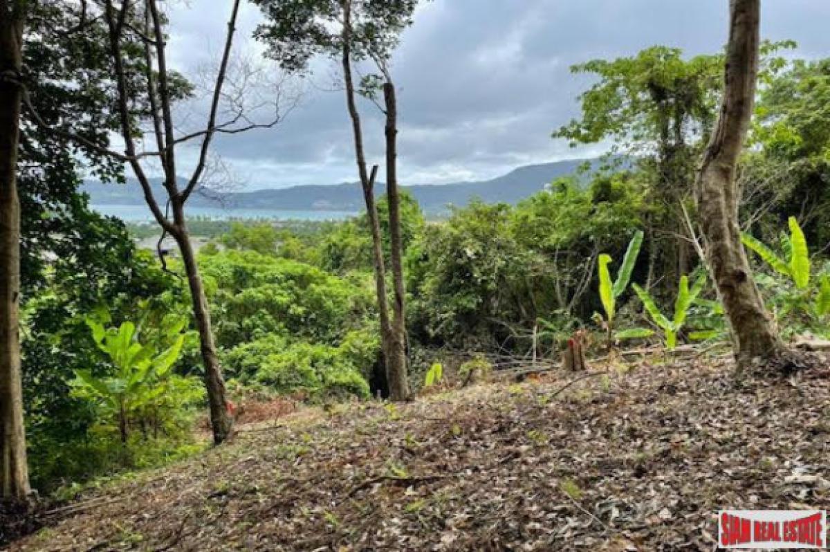 Picture of Residential Land For Sale in Phuket, Phuket, Thailand