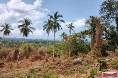Residential Land For Sale in Surat Thani, Thailand