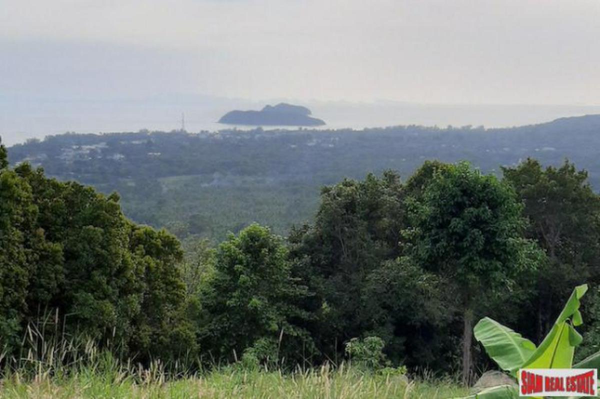 Picture of Residential Land For Sale in Surat Thani, Surat Thani, Thailand