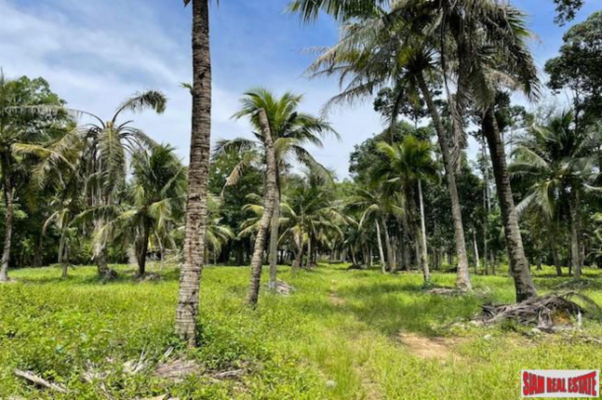 Picture of Residential Land For Sale in Phuket, Phuket, Thailand