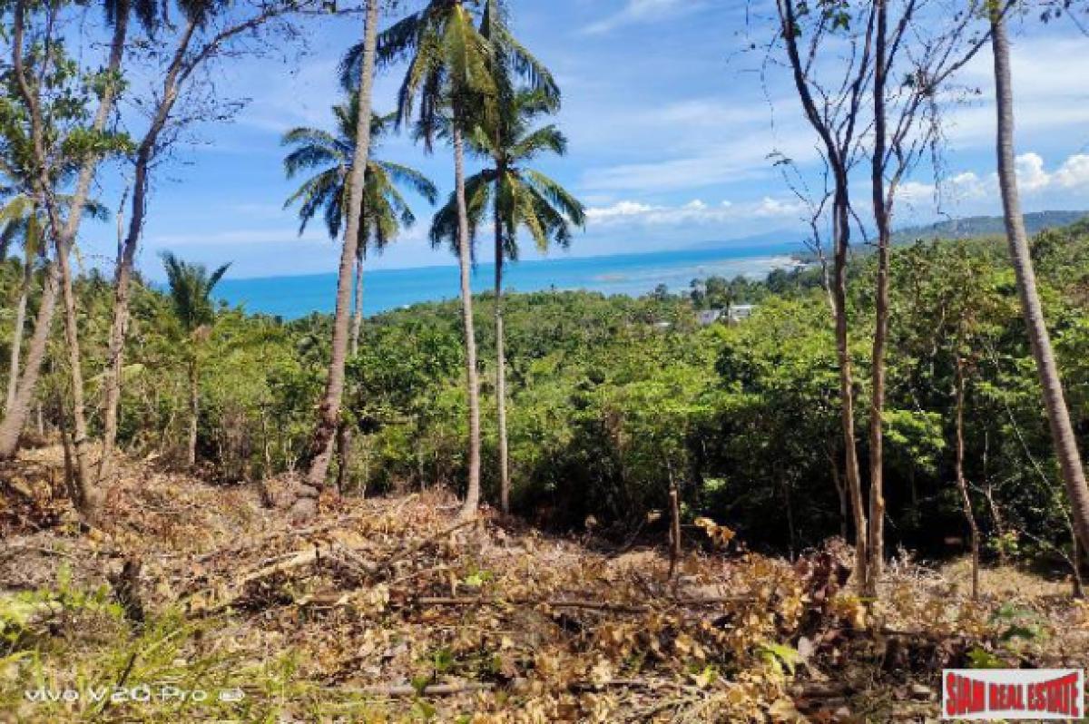 Picture of Residential Land For Sale in Surat Thani, Surat Thani, Thailand