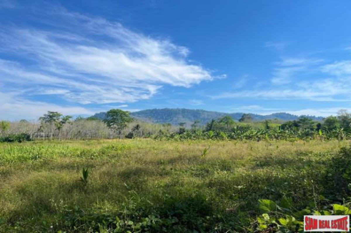 Picture of Residential Land For Sale in Mueang Phang Nga, Phang Nga, Thailand